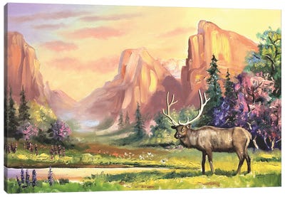 Elk In Summer Wilderness Canvas Art Print - Elk Art