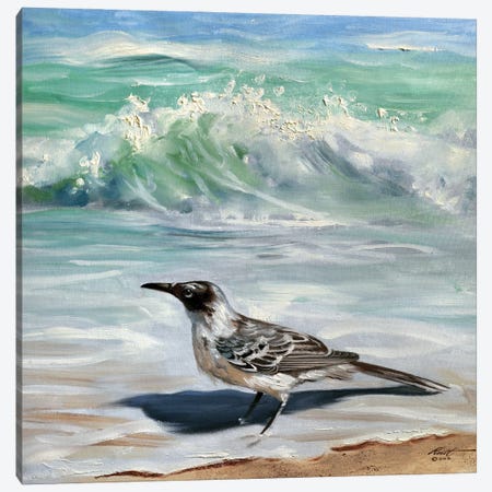 Laughing Gull Canvas Print #RSR523} by D. "Rusty" Rust Canvas Wall Art