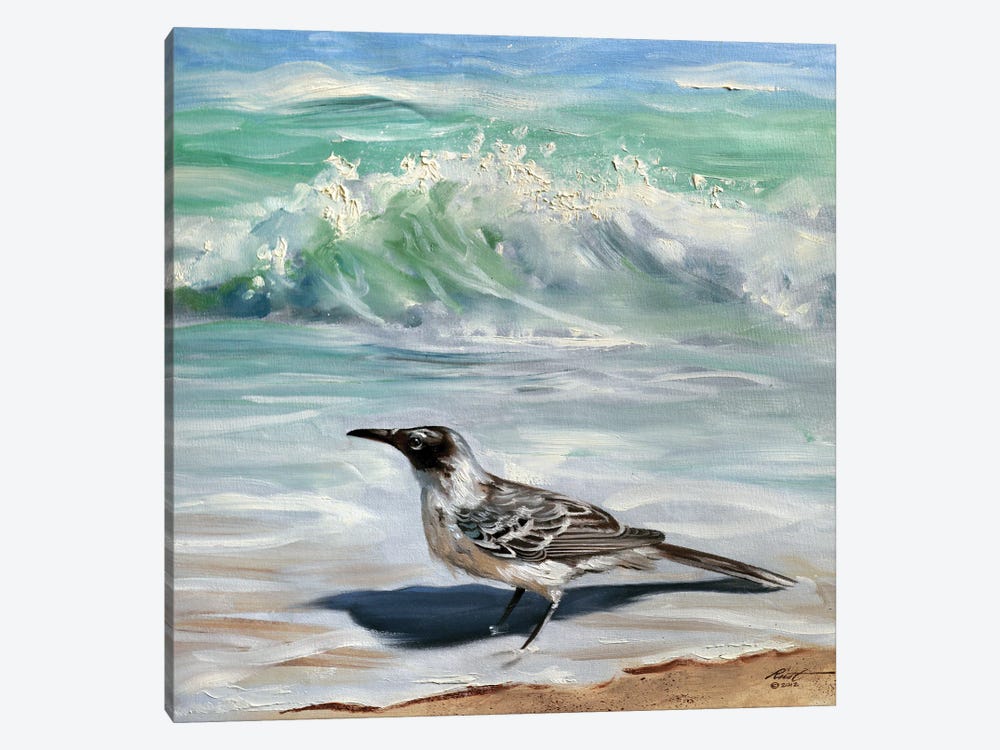 Laughing Gull by D. "Rusty" Rust 1-piece Canvas Artwork