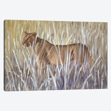 Lioness Canvas Print #RSR526} by D. "Rusty" Rust Canvas Art Print