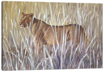 Lioness Canvas Art Print - D. "Rusty" Rust