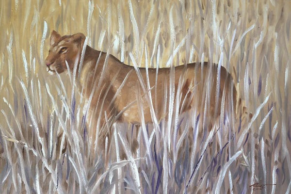 Lioness