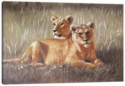 Lions Canvas Art Print - D. "Rusty" Rust