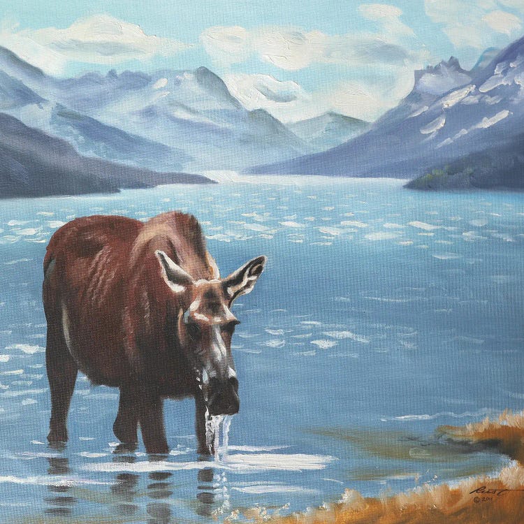 Moose