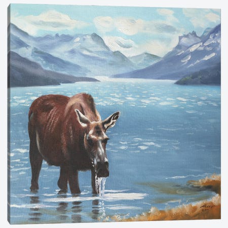 Moose Canvas Print #RSR539} by D. "Rusty" Rust Canvas Art Print