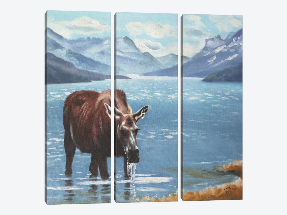 Moose by D. "Rusty" Rust 3-piece Canvas Print