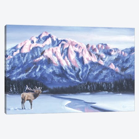 Elk In Winter Wilderness Canvas Print #RSR53} by D. "Rusty" Rust Art Print