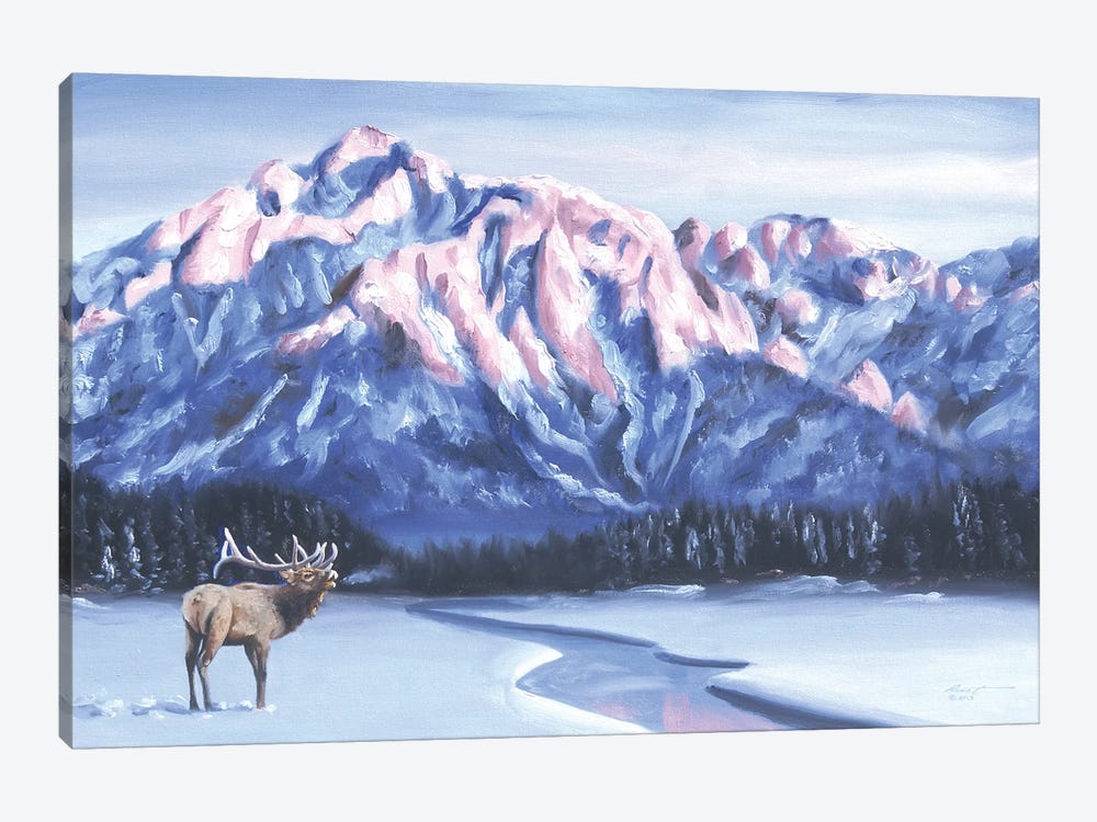 Elk In Winter Wilderness by D. "Rusty" Rust 1-piece Canvas Art Print