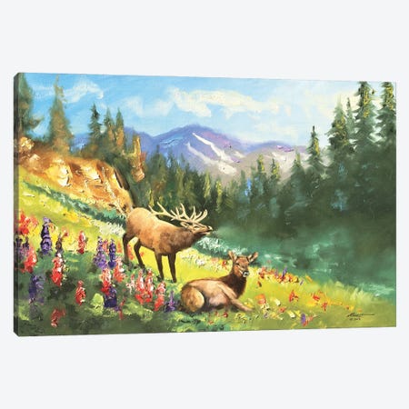 Elk With Wildflowers Canvas Print #RSR54} by D. "Rusty" Rust Canvas Art