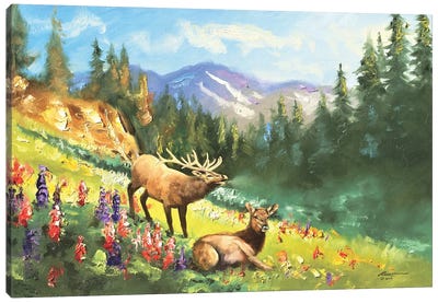 Elk With Wildflowers Canvas Art Print - Elk Art