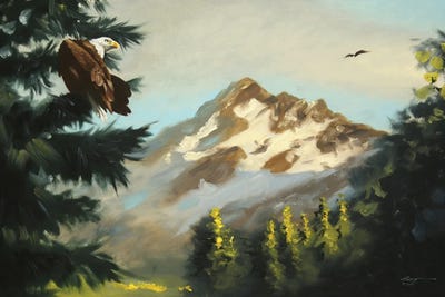 Bald Eagle With Mountain View by D. "Rusty" Rust framed canvas print