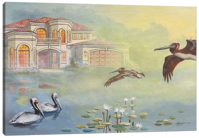 Pelicans Canvas Art Print - D. "Rusty" Rust