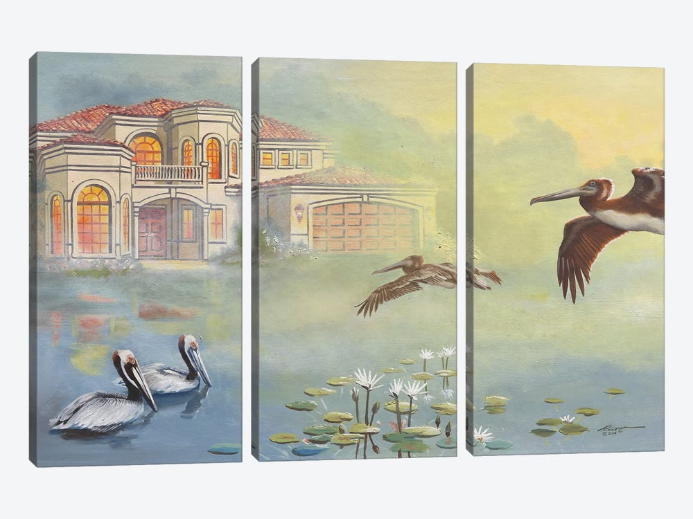 Pelicans by D. "Rusty" Rust 3-piece Canvas Art