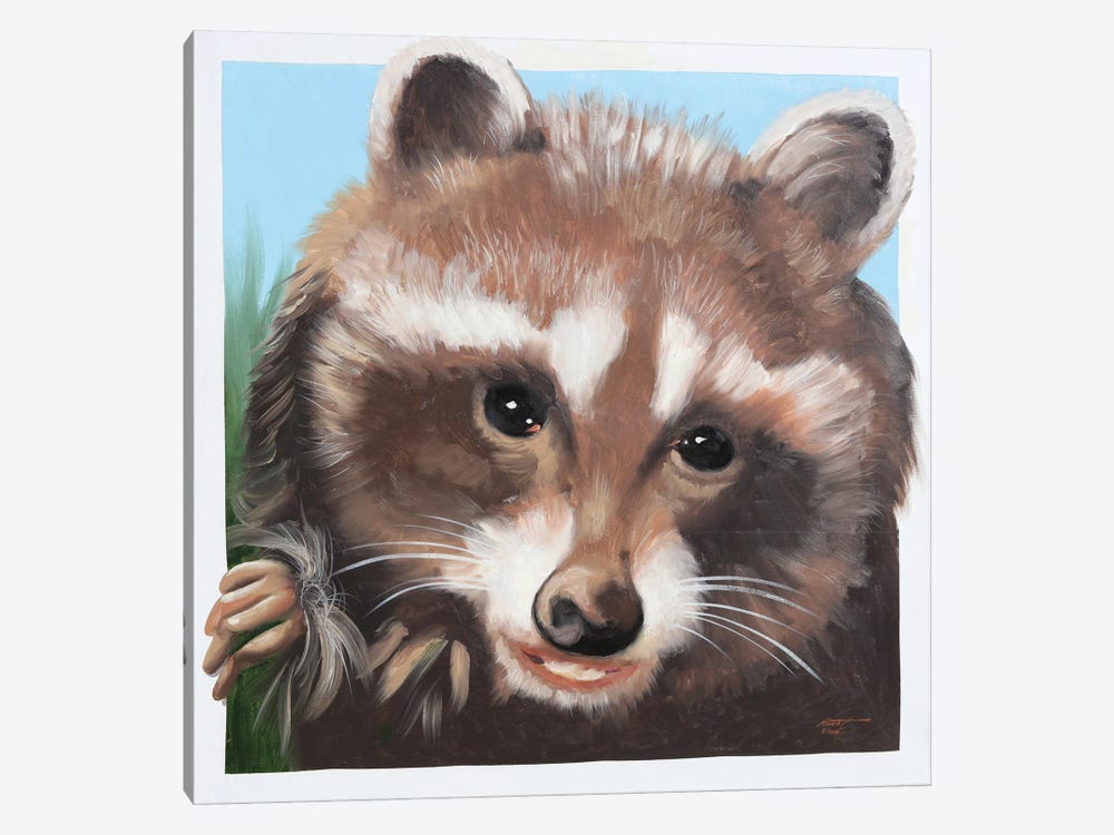 Raccoon by D. "Rusty" Rust 1-piece Canvas Wall Art