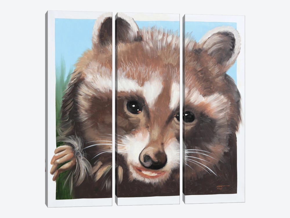 Raccoon by D. "Rusty" Rust 3-piece Canvas Wall Art