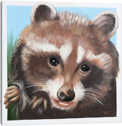 Raccoon Canvas Art Print - D. "Rusty" Rust