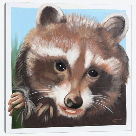 Raccoon Canvas Print #RSR556} by D. "Rusty" Rust Canvas Wall Art