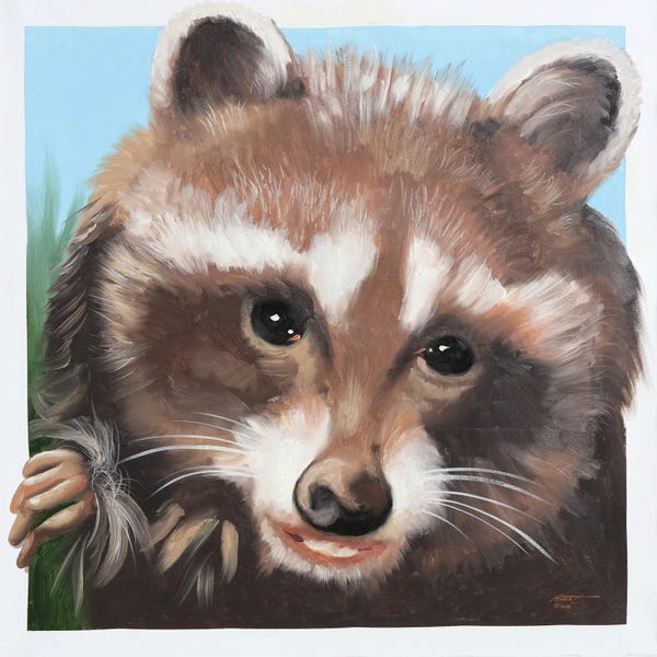 Raccoons: Raccoon by D. "Rusty" Rust