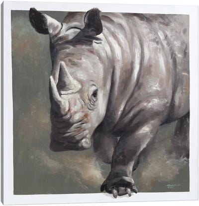 Rhino Canvas Art Print - D. "Rusty" Rust