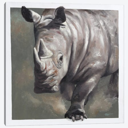 Rhino Canvas Print #RSR560} by D. "Rusty" Rust Canvas Art