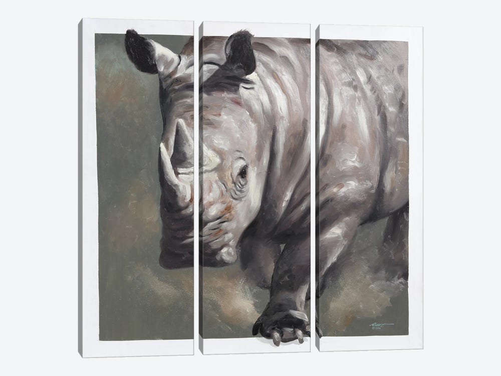 Rhino by D. "Rusty" Rust 3-piece Canvas Print