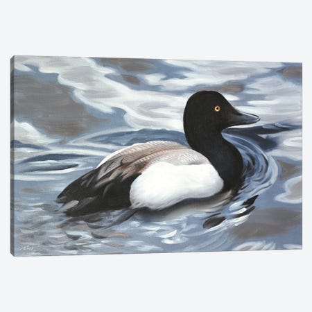 Scaup Canvas Print #RSR563} by D. "Rusty" Rust Canvas Art