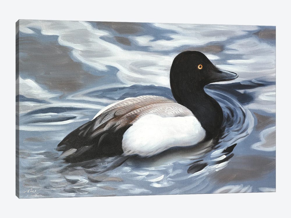 Scaup by D. "Rusty" Rust 1-piece Canvas Art