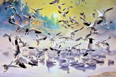 Snow Geese by D. "Rusty" Rust art print
