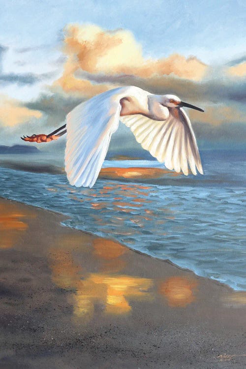 Snowy Egret by D. "Rusty" Rust wall art