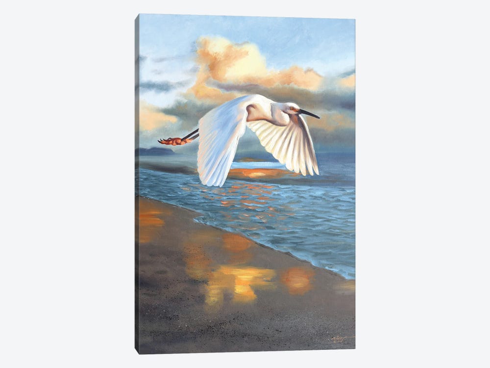 Snowy Egret by D. "Rusty" Rust 1-piece Canvas Art Print
