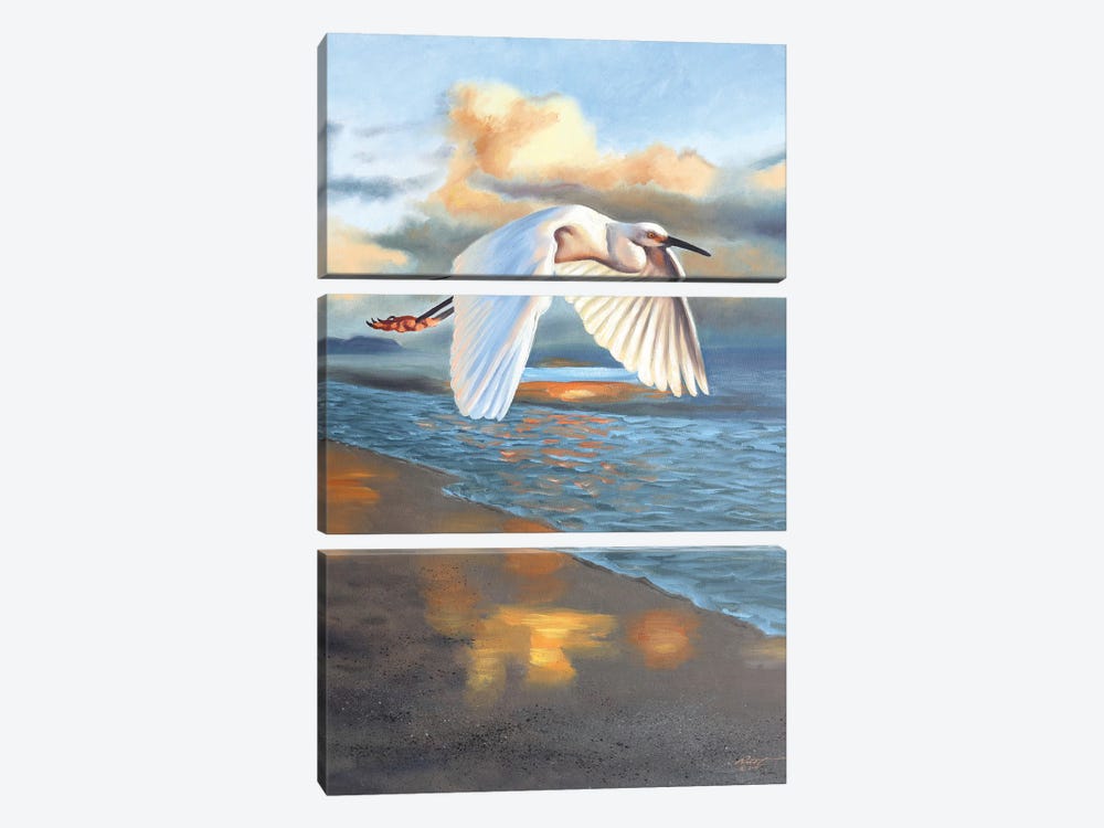 Snowy Egret by D. "Rusty" Rust 3-piece Art Print