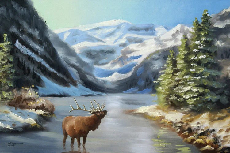 Elk In River Wilderness