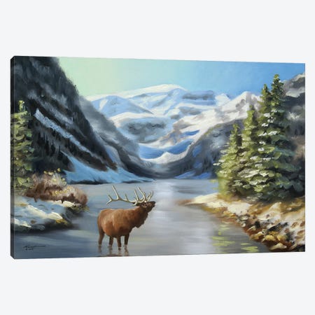 Elk In River Wilderness Canvas Print #RSR56} by D. "Rusty" Rust Canvas Art