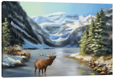 Elk In River Wilderness Canvas Art Print - Elk Art