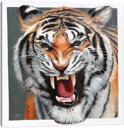 Tiger Canvas Art Print - D. "Rusty" Rust