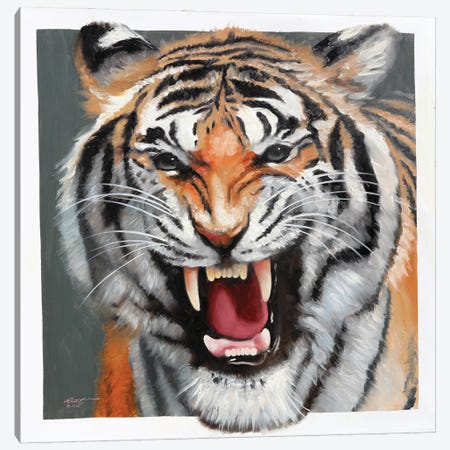 Tiger Canvas Print #RSR584} by D. "Rusty" Rust Canvas Print