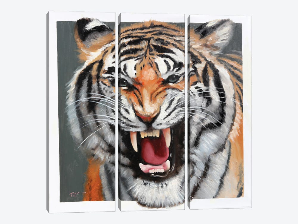 Tiger by D. "Rusty" Rust 3-piece Canvas Print