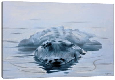 Alligator VI Canvas Art Print - D. "Rusty" Rust