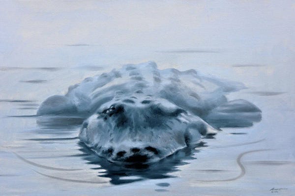 Alligators & Crocodiles: Alligator VI by D. "Rusty" Rust