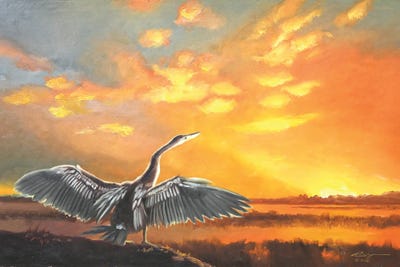 Anhinga II by D. "Rusty" Rust art print