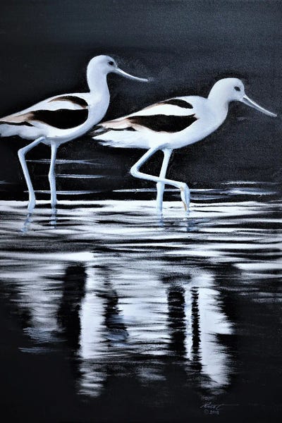Avocets by D. "Rusty" Rust art print