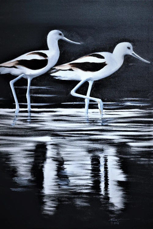 Avocets by D. "Rusty" Rust wall art