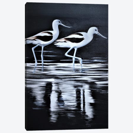 Avocets Canvas Print #RSR595} by D. "Rusty" Rust Canvas Artwork