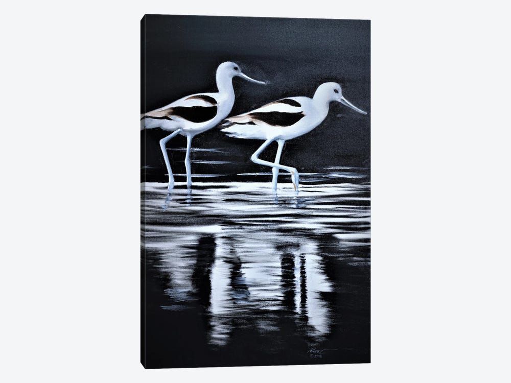 Avocets by D. "Rusty" Rust 1-piece Canvas Print
