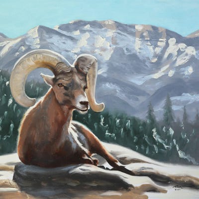 Bighorn Sheep by D. "Rusty" Rust canvas print