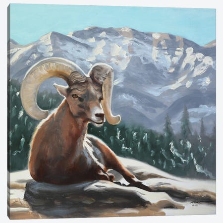 Bighorn Sheep Canvas Print #RSR597} by D. "Rusty" Rust Canvas Art