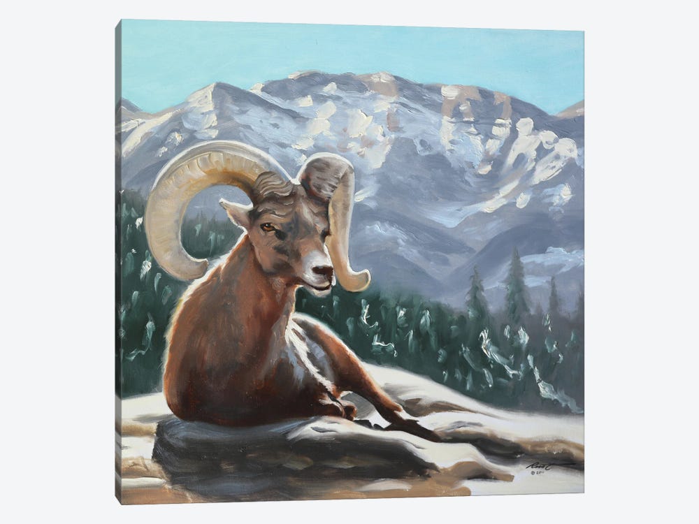Bighorn Sheep by D. "Rusty" Rust 1-piece Art Print