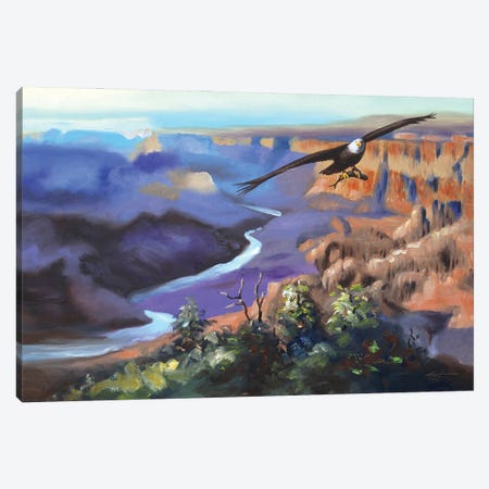 Bald Eagle Flying Over Canyon Canvas Print #RSR59} by D. "Rusty" Rust Art Print