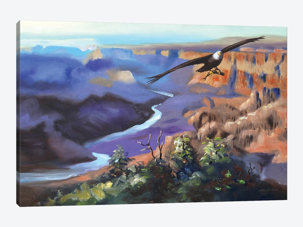 Bald Eagle Flying Over Canyon by D. "Rusty" Rust 1-piece Art Print