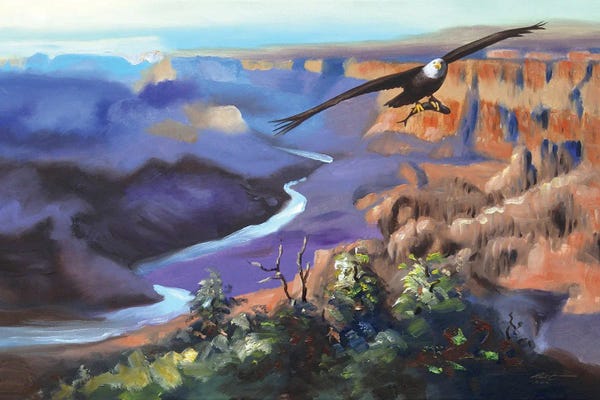 Canyons: Bald Eagle Flying Over Canyon by D. "Rusty" Rust